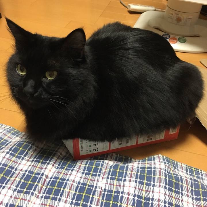 971079a8 4eba 4661 abb1 c171a72ab365 1513868989620