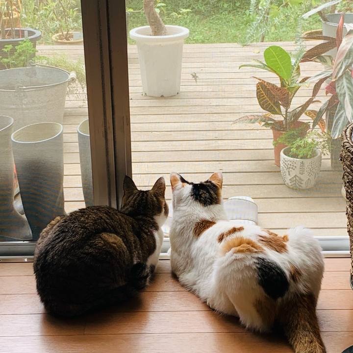 97109b98 bd3a 4b77 ad15 190a19c54328 1664414690434