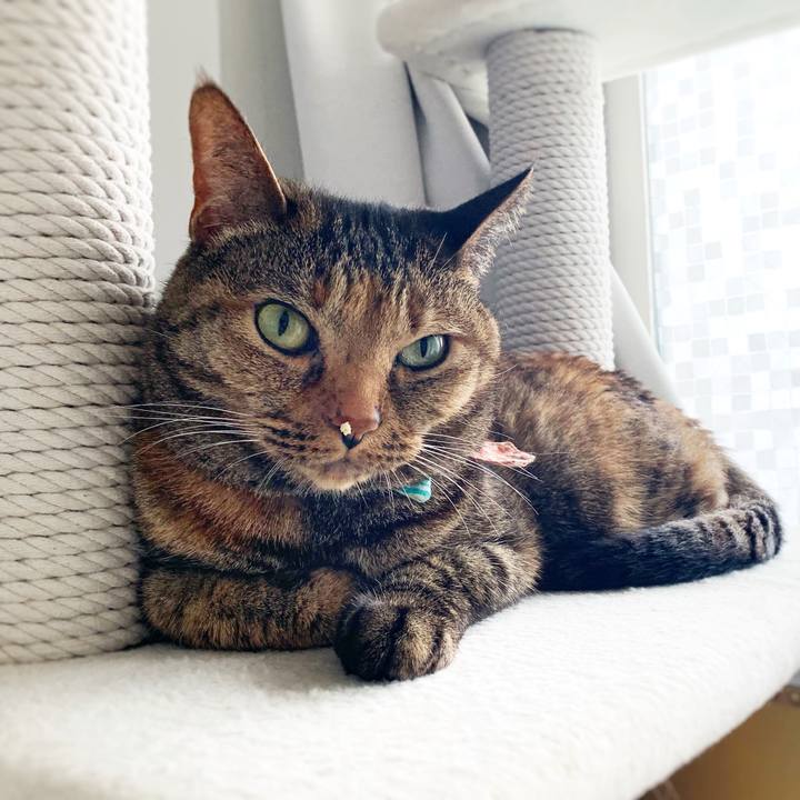 9710b2dd fc92 45cb a084 c95d7cf02baa 1558736534740