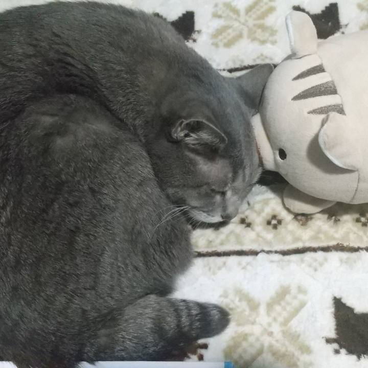 9710c409 7869 4eac 85ba 43f77aaced5c 1669717622083