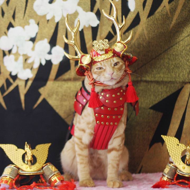 9710e881 e404 4915 822d 4e2e6730791a 1683245817113