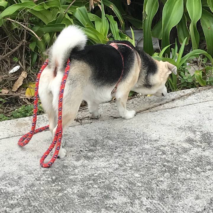 971104d4 6189 49ee bc99 b0235d0d7854 1521072100393