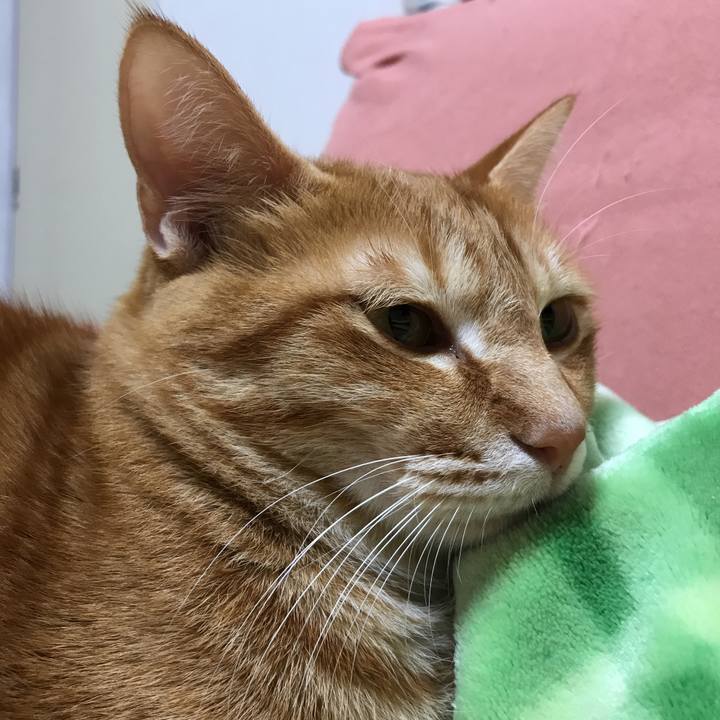 9711320d 8adc 4bae a42e 0ea67c62145c 1514562069797