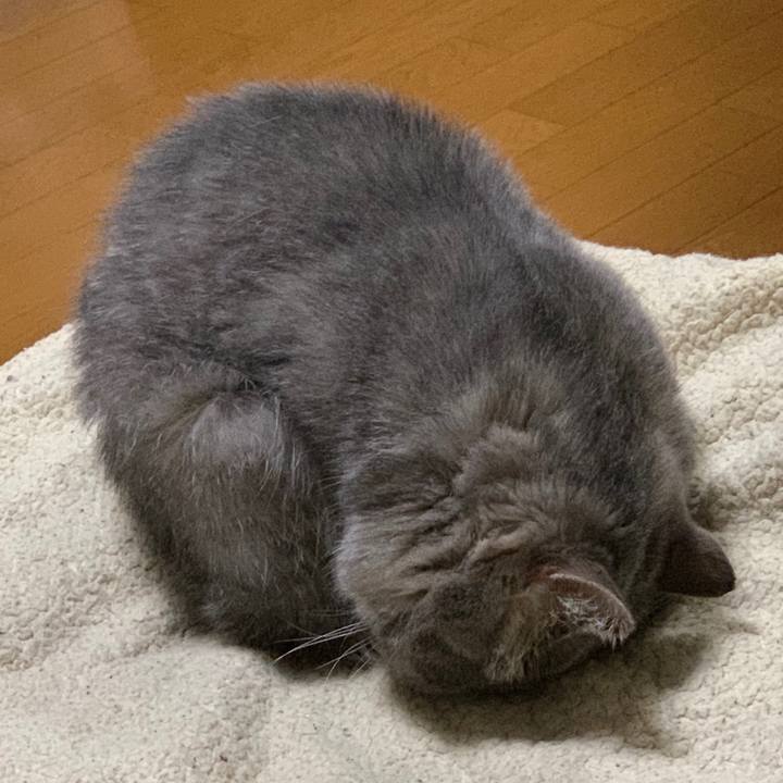 97119e2e 2904 4b6e 97c4 0e9324af5ebe 1553346937179