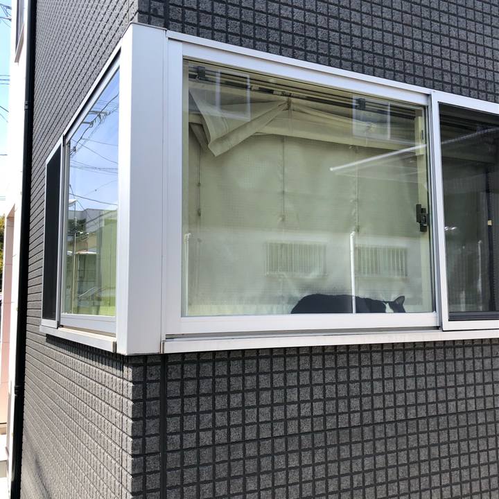 9711bbbf b175 4f34 bf56 2e088910edb6 1589716385769