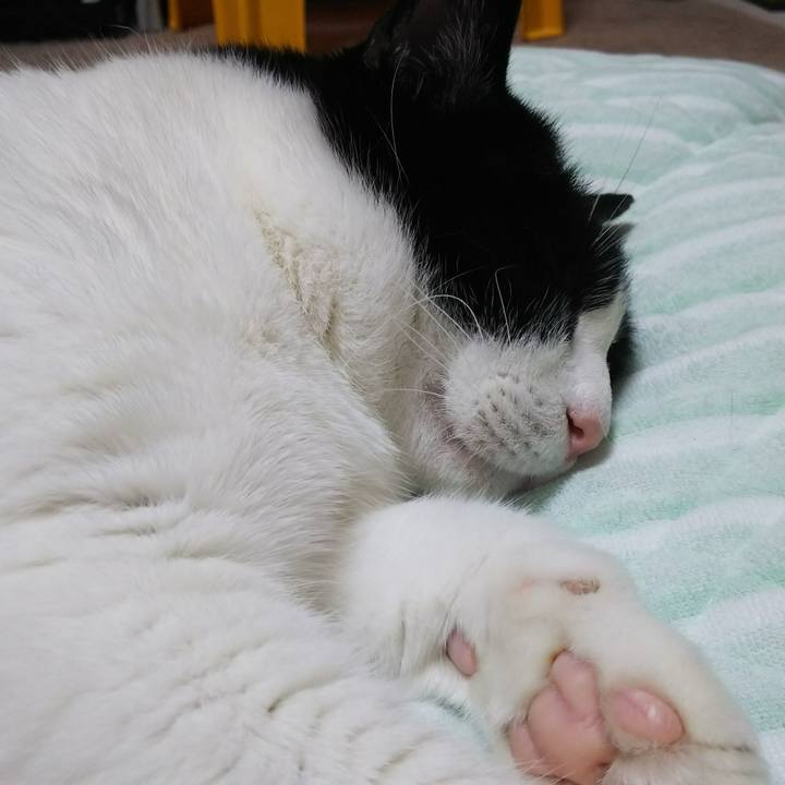 9711cc5d dcaf 4247 81f5 8dbccea140ad 1534944479039