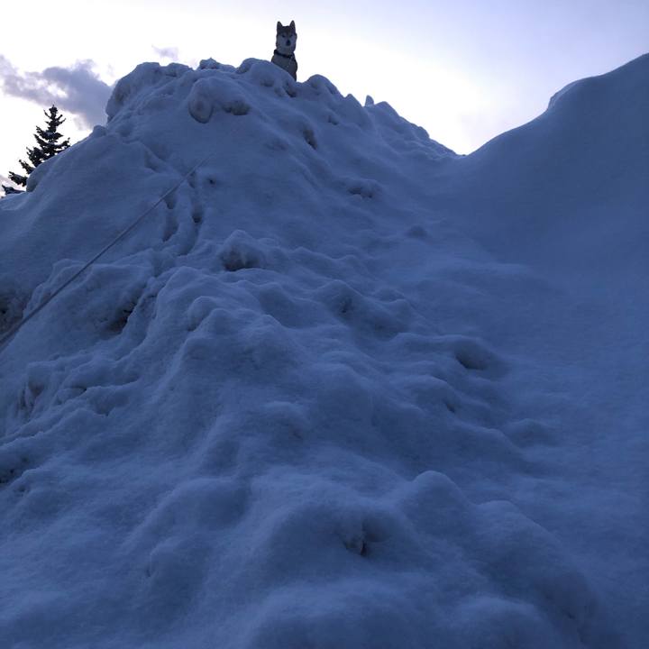 9712140c 4170 4048 948e dccdc1d2a03d 1582106658008