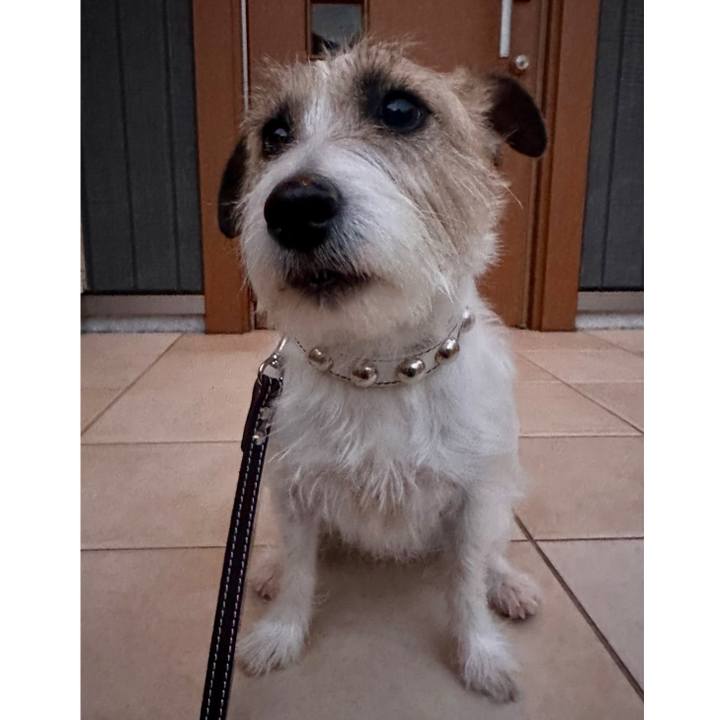 971219a8 1fe3 48d2 88b1 2c67c6bff29e 1737061310740