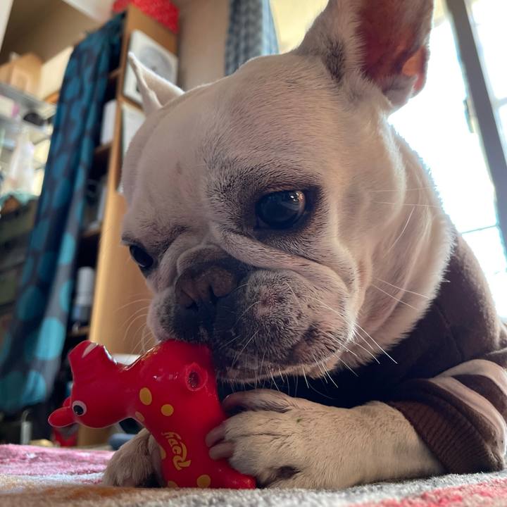 97124d3b 4834 4359 80ff ade87a9ba294 1736295861408