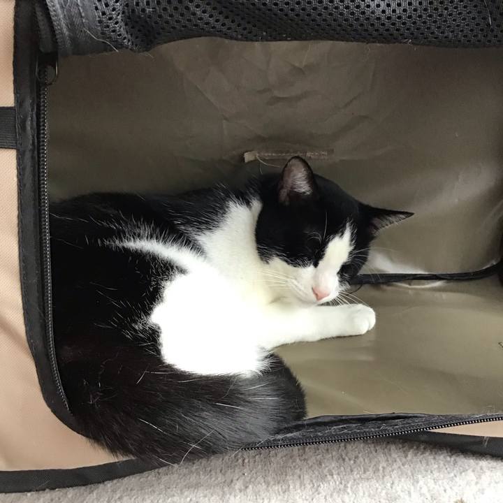 97126934 eae0 4ebf 8f52 1efba9386ab8 1719723148129