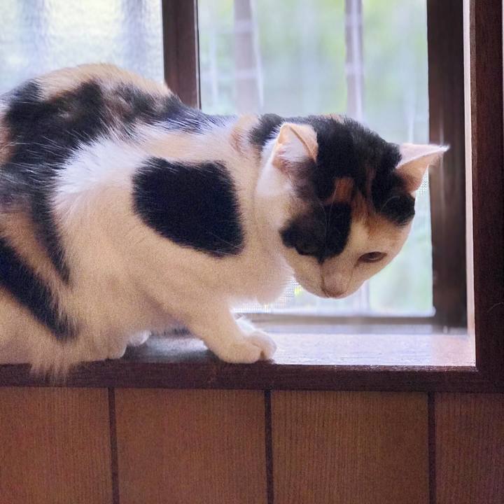 97126cc1 6ead 4c98 99ce c09e5218c216 1508203414697