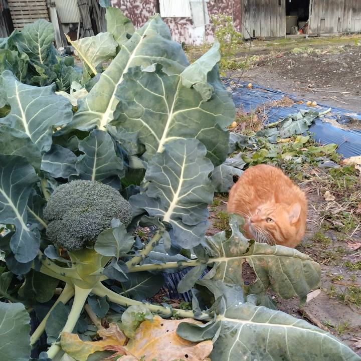 9712898e 5070 427c 8fe2 764adaaca423 1702541391495