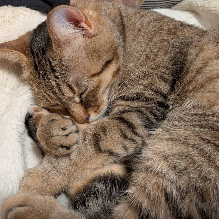 9712901f 87f5 4827 b695 e2b508c481d2 1769033347769