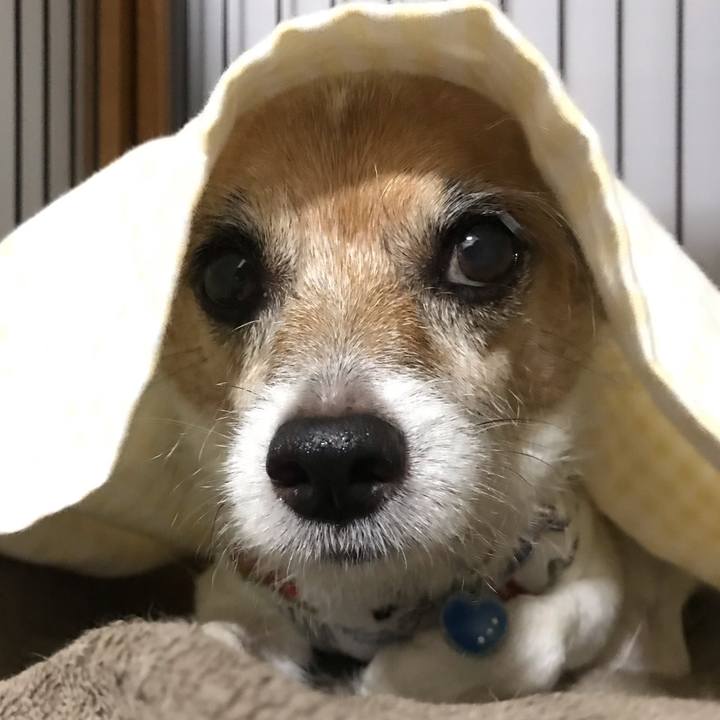 9712a14c 9440 408b ba65 2bf265ced758 1568120624701