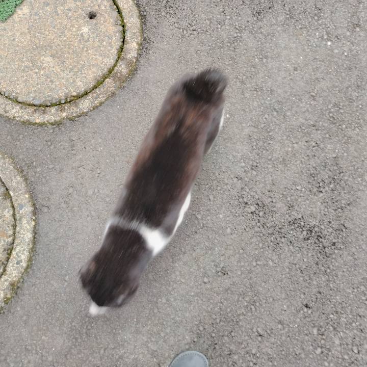 9712e7d9 4e62 4e13 adfd 8ef54bf75623 1709773254653