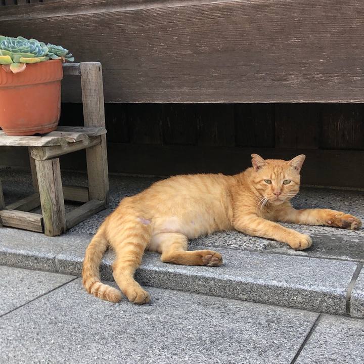 9712e9f7 c30d 4cbd a4d6 83f51827577e 1630369840137