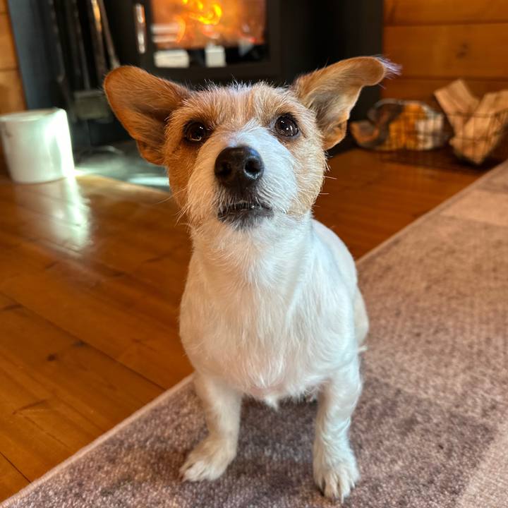 9712fa3c ffb3 44b6 a53d 33f06d2f3ed4 1769299742969