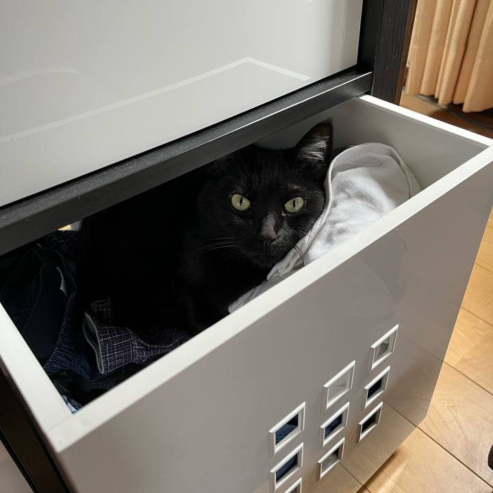 97130389 1337 4822 8238 dc7d45d945ec 1651975348643