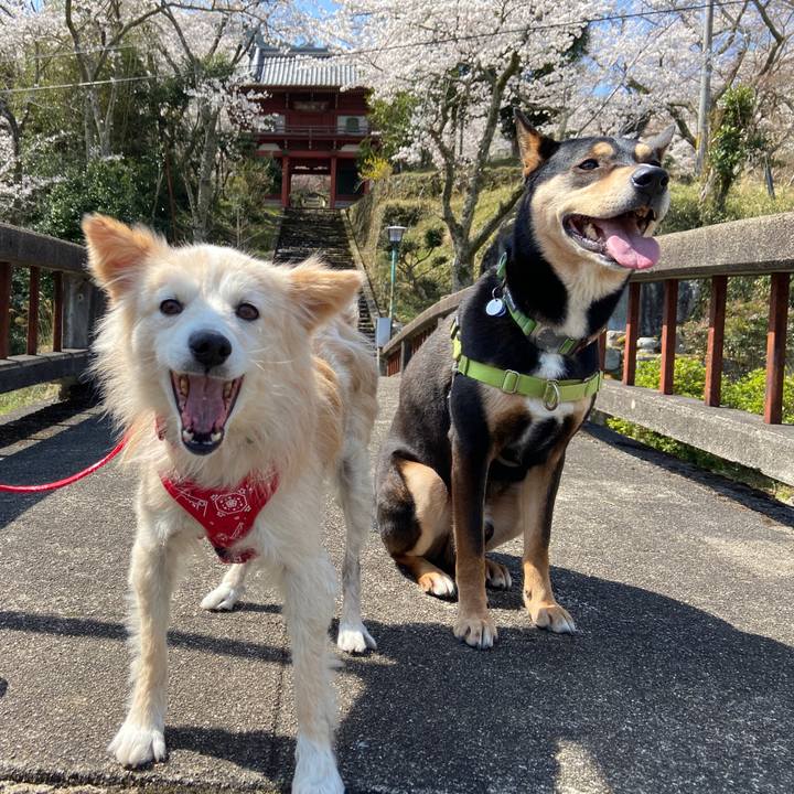 97130d42 a85c 441b aae4 ecb52b5213f0 1649234849162