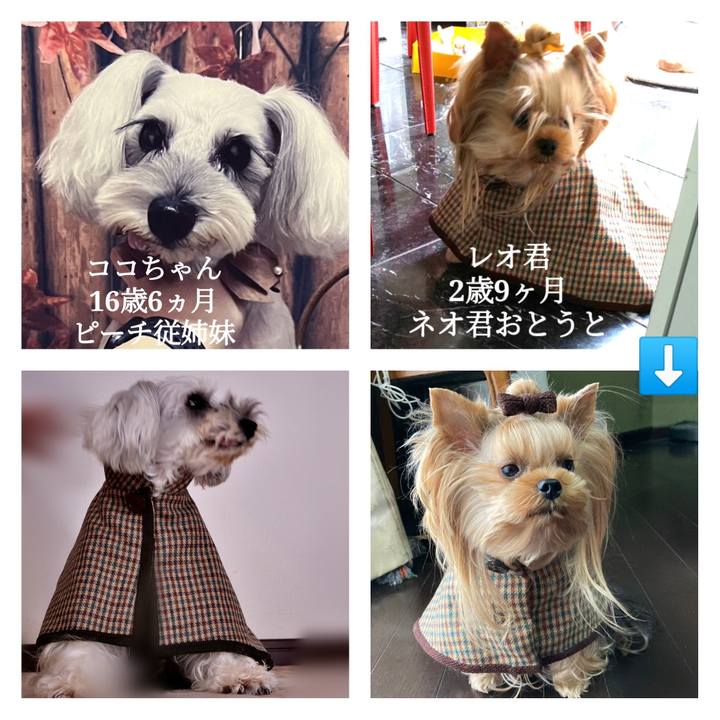 971327a5 0139 4394 a6b6 fa994ae2aea9 1669449594213