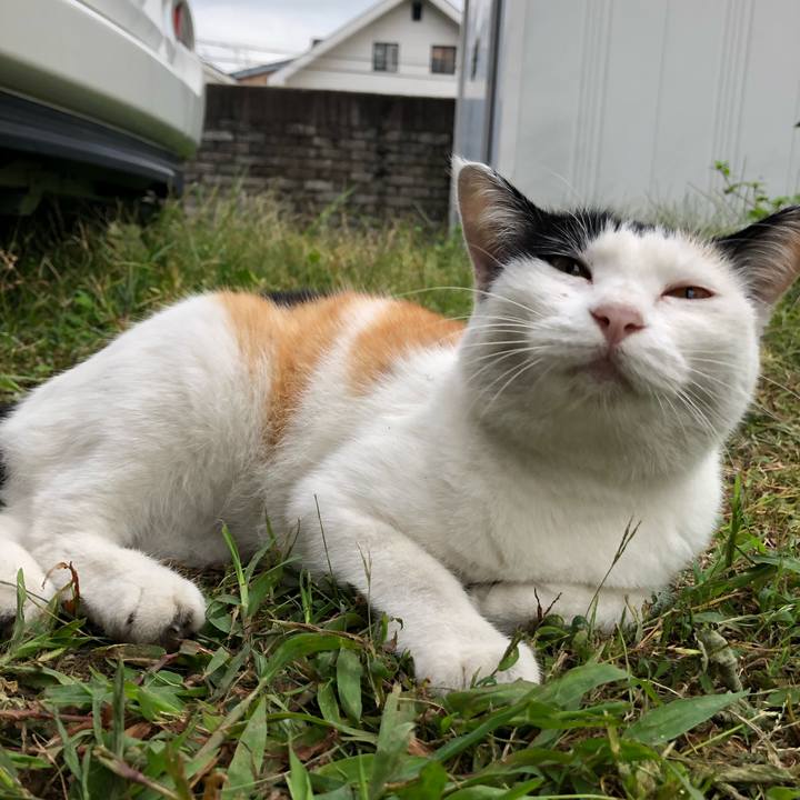 971336f6 e38d 498d 913e 7f4629647a7b 1600208185656