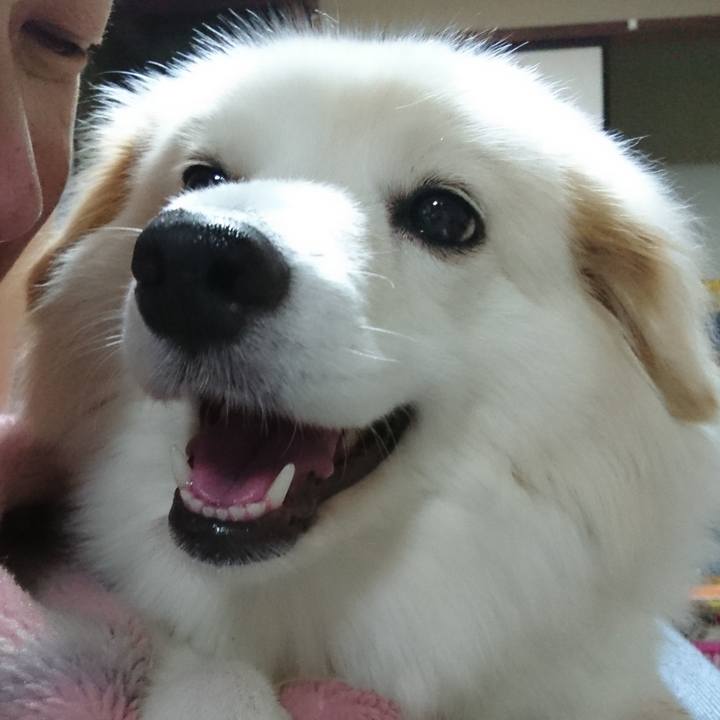 97135b1b 7465 4d43 a3d8 a407bd2fdbb9 1533817386788