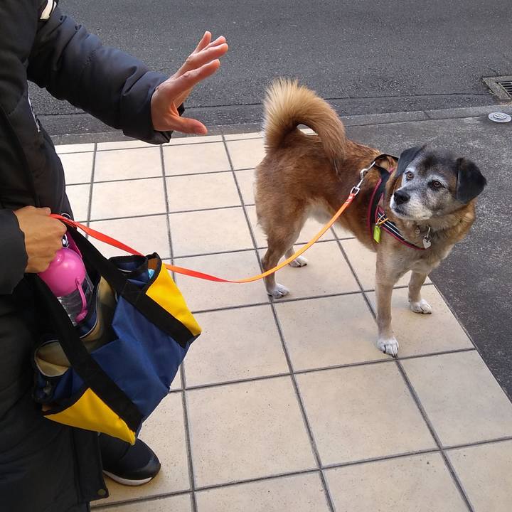 9713934f 880e 4bd5 8be6 78d168253f47 1549582365273