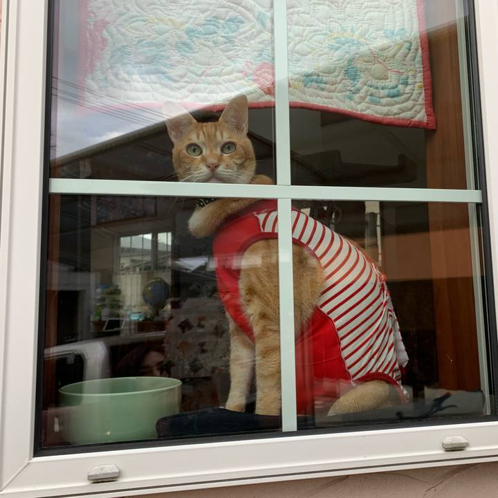 9713af95 4b77 49ab aa02 e9e05fcad7ea 1594813661978