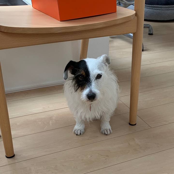 9713e53c f5cd 41cc a2af eae6e020452c 1593732002485