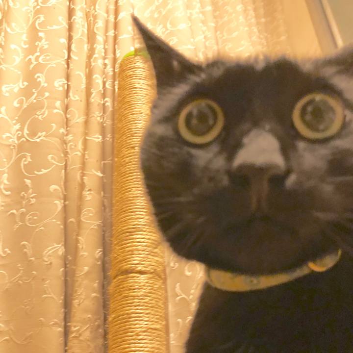 9713f0c2 238a 4261 9807 fb699c863b37 1550319524771