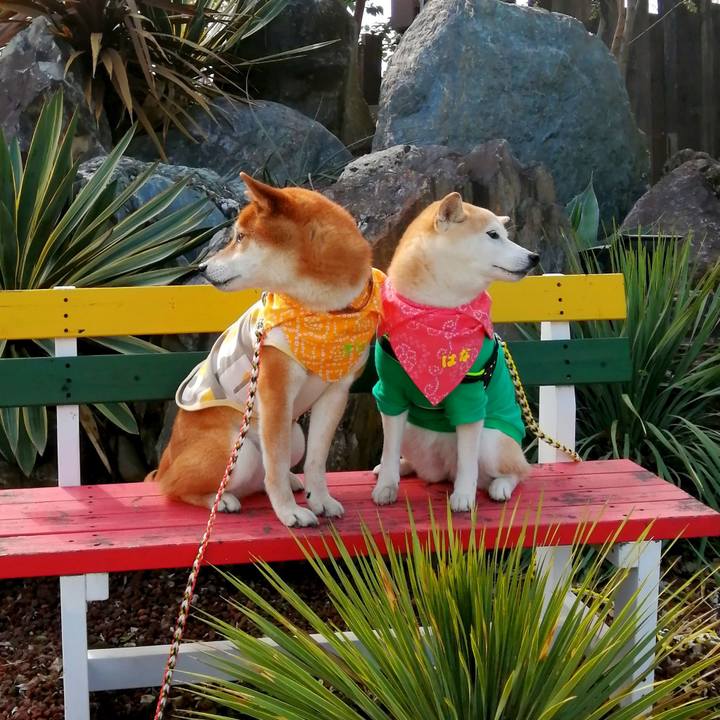 97148438 72ff 4a61 96d0 dbf538bde5df 1650199983425