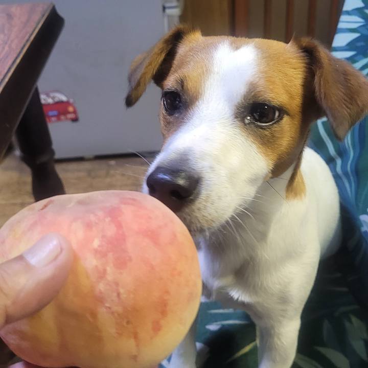 97148946 11e1 4da5 af38 ef01af5b4ba6 1688521595193