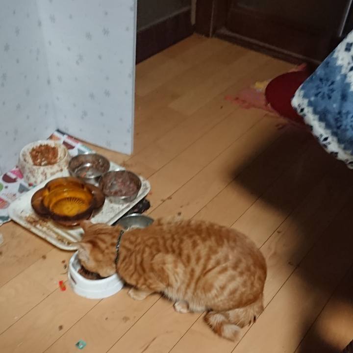 971496e2 e8a0 4b16 a962 ac3bef35d4ec 1645736616396