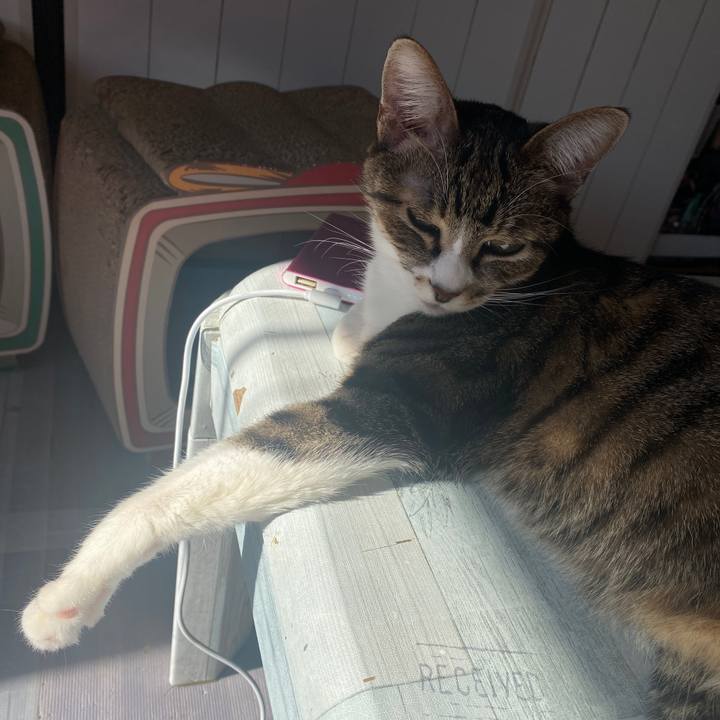 9714d7bd 9bc3 4d7a 9ac8 64ccf59df646 1639360986174