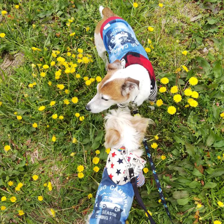 9714df7f 9d62 401a 8340 5dde225a890b 1523690565465