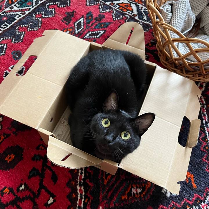 9714fd8f ca03 42f1 aa32 252eb1553f02 1692314628702