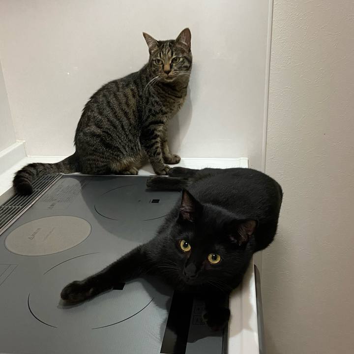 97150870 3263 445b bdf3 b04b3096755e 1625053537031