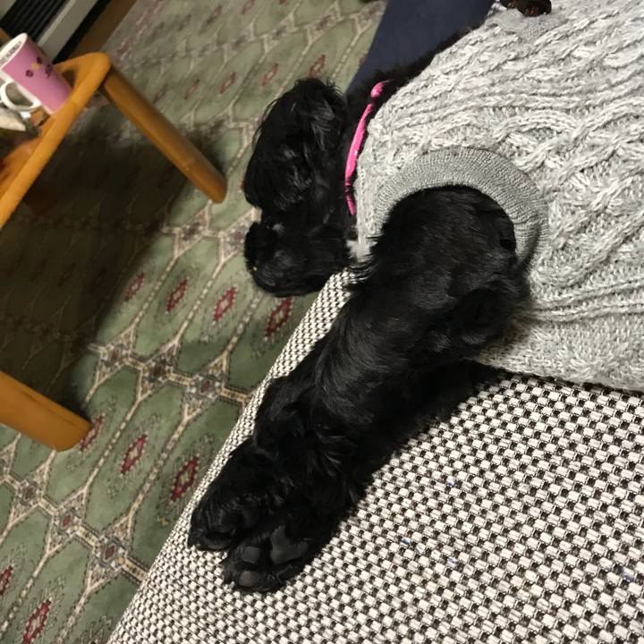 97150b2f b517 4d36 b989 9d9f2d7dad06 1523245612122