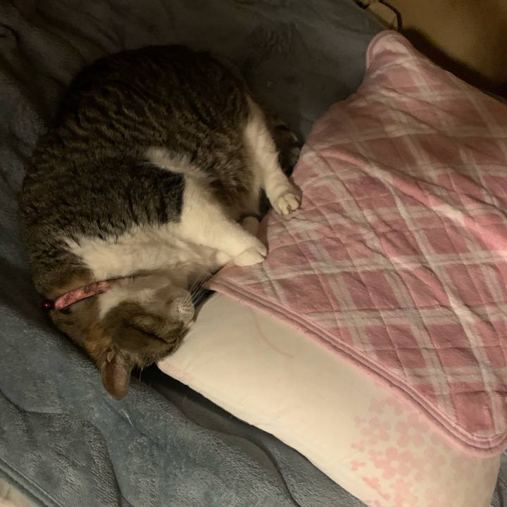 971518cd e380 4aea aa98 26b58c45e36f 1713100133062