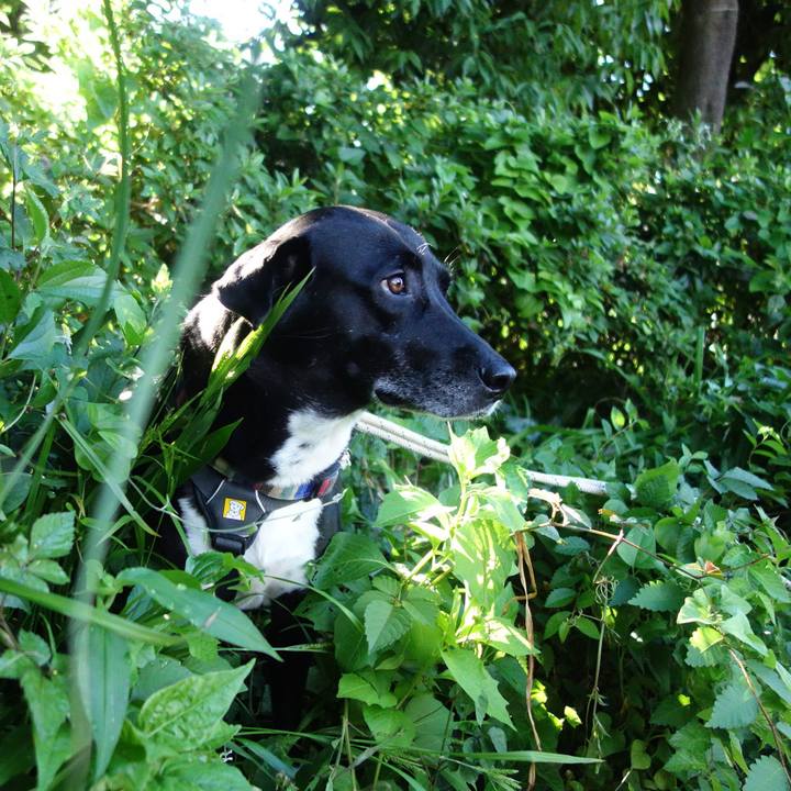 97152dc8 4fb2 44c3 9921 5b4efaebb30f 1653698447690