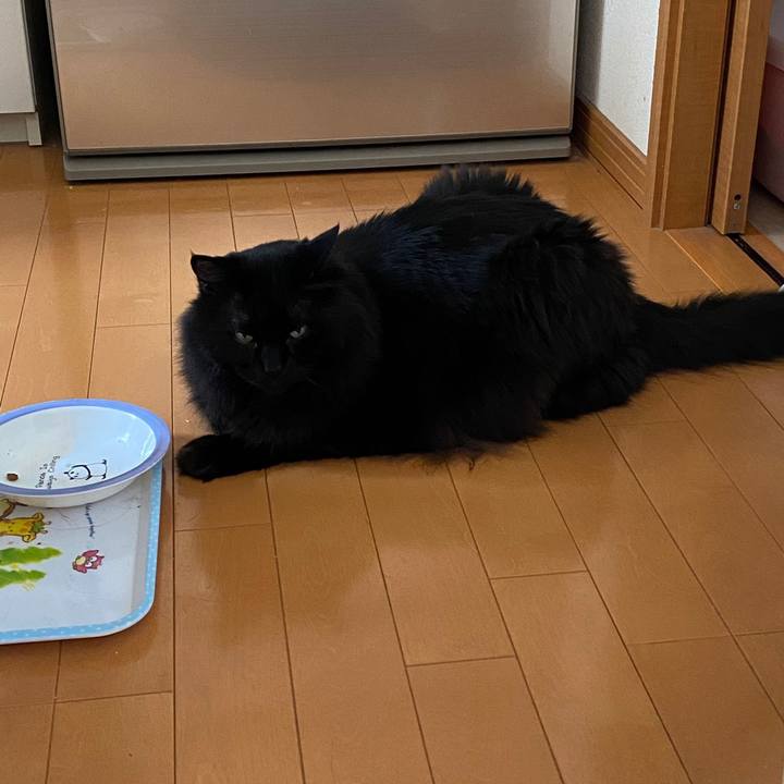 971530c9 c514 4080 b356 236358789994 1623379346852