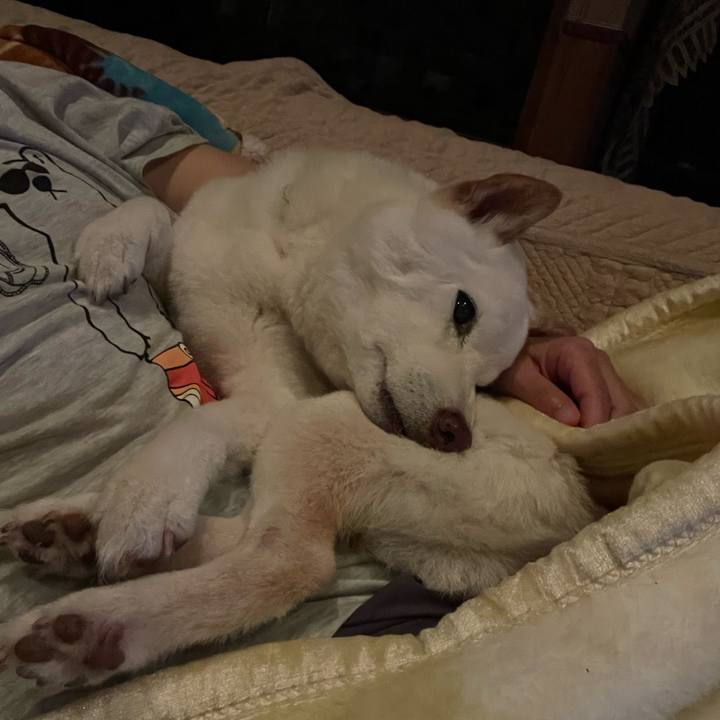 97156b51 5677 494a aec9 195492b2641c 1652628459549