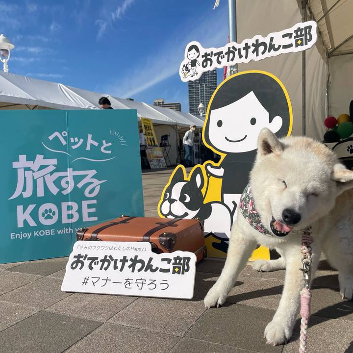 97158e54 3494 4877 b6cf 2bb6a538be2a 1763872484454