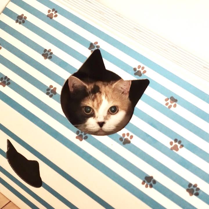 9715cbc0 5e0c 440a 8725 1ccf35420e76 1525311277879