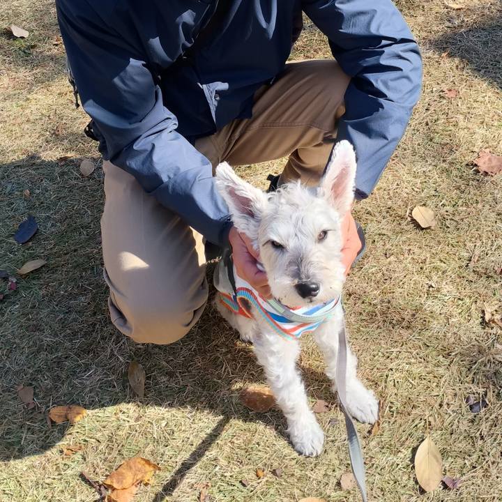 9715e83a d9b8 4339 8dd3 0fb5f3111761 1762261323071