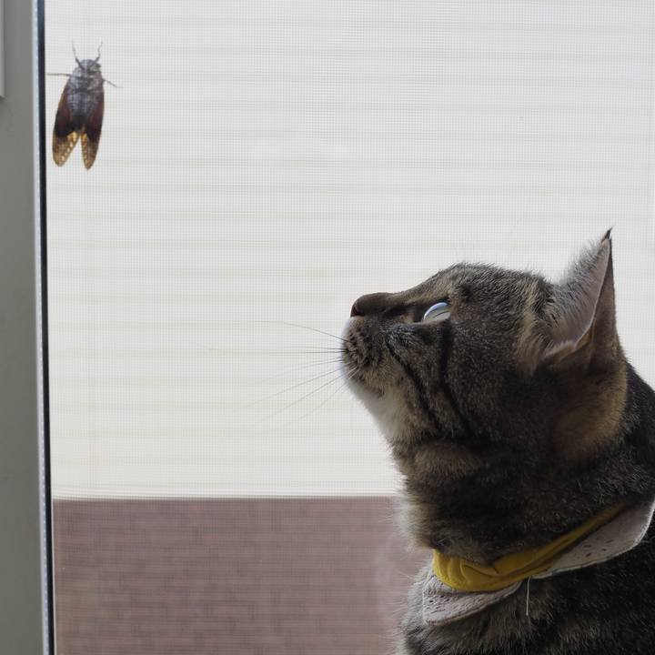 9715eecd cf63 44b2 9238 bde6d64ab47f 1690895471477