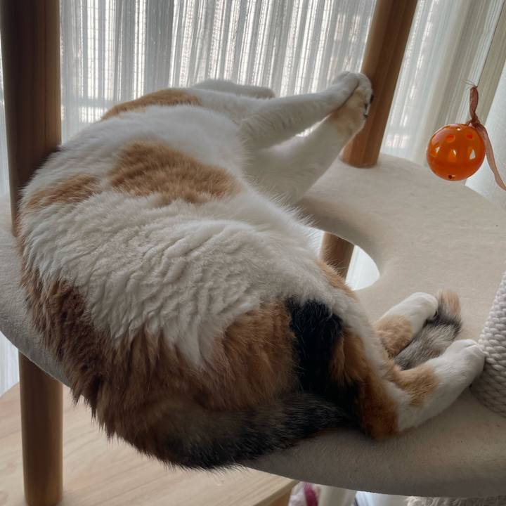 9715ff5d b30c 487e a17b 0f1b39bcb513 1722295905602