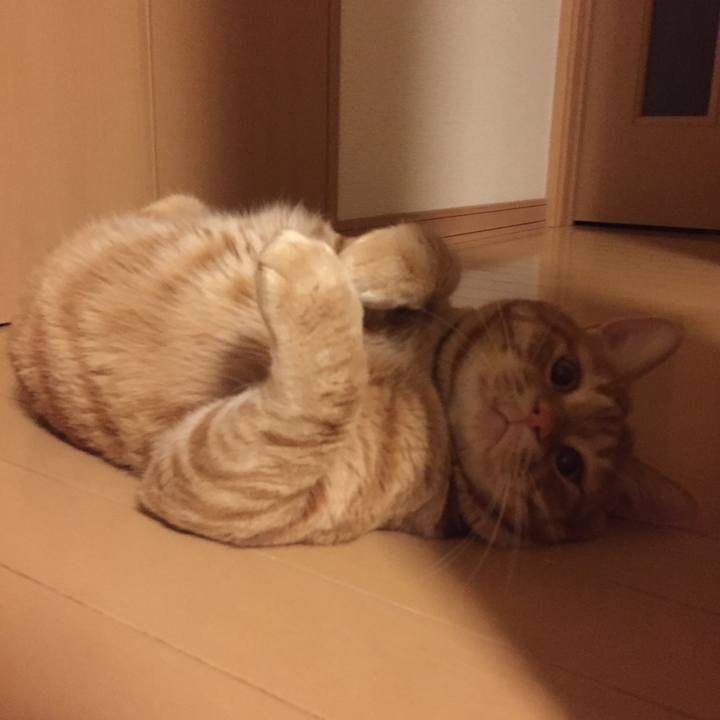 971600ee 8d79 4ce2 bd80 109d2aebab39 1561378378154