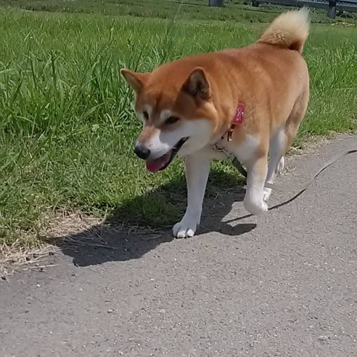 97160916 0b47 4543 9fb3 7e3091c14806 1594970569269