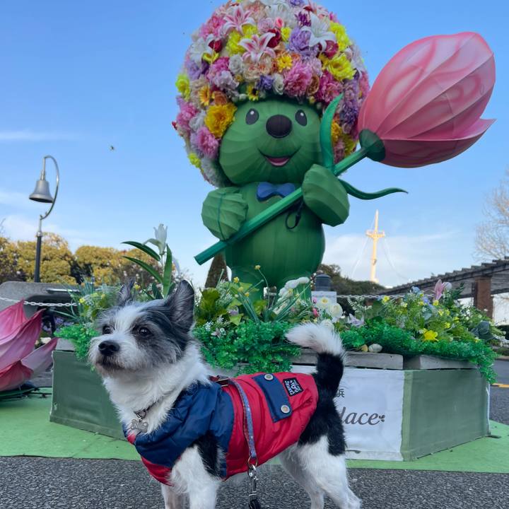 971646cb c1e9 479e 83bf 7525c15a1e14 1768863001613